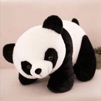 北极熊公仔 毛绒玩具北极熊仿真小白熊玩偶大布娃娃女生生日礼物 黑色站版熊猫 12厘米甚拍很小