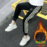 女童裤子2019新款秋装加绒长裤儿童休闲裤女洋气中大童运动裤秋冬 米色条条加绒加厚 110 收藏优先发货