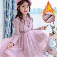 女童秋冬连衣裙儿童冬天裙子时尚洋气冬装加绒加厚冬季女孩冬裙潮 紫色加绒 110 110码适合90-99cm