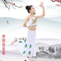 儿童傣族演出服孔雀舞蹈服装鱼尾裙成人新款女少数民族舞台表演服 白色斜肩 100