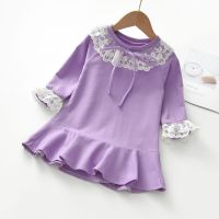 童裙女童连衣裙加绒秋冬款海岛绒衣小女孩红色卫衣裙韩版洋气裙子 秋款不加绒紫色 100 身高80-90cm