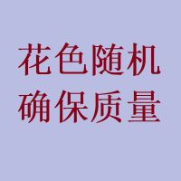 儿童开裆背带裤纯棉内衣套装小孩宝宝男女童全棉背带秋衣秋裤 随机花色 80