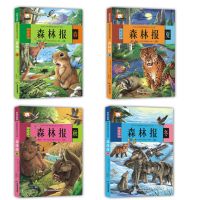 森林报春夏秋冬4册彩图故事书带拼音 小学生必读课外阅读书籍 全4册