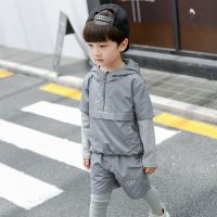 童装男童秋装套装2020秋季新款儿童春秋款运动装男宝宝两件套潮衣 1985套装(灰色) 110