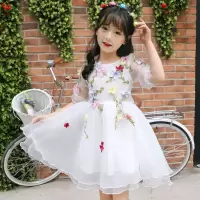 女童夏装连衣裙儿童公主裙小女孩裙子网纱裙六一表演服宝宝仙女裙 白色 偏小一码 收藏优先发货 100