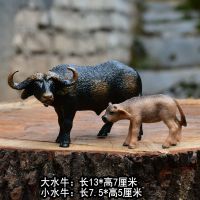 仿真动物奶牛模型牛玩具仿真奶牛黄牛公牛水牛儿童玩具摆件套装 水牛2个套装