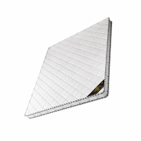 普拉塞(Plasser) 天然椰棕床垫棕垫 1000mm*2000mm