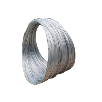 普拉塞(Plasser) 镀锌铁丝 10 号 (kg)