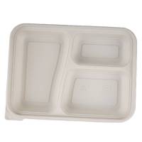 普拉塞(Plasser) 一次性可降解三格餐盒 160个900ml (箱)