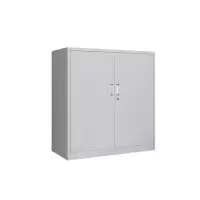 普拉塞(Plasser) 简约工具储物柜 500*700*500mm(个)