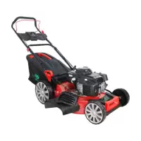 新哈勃HG53SMH-GCV160 园林器械