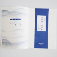 正版 新编语文全阅读 3三年级下册 配合语文新教材 亲近母语研究院编著 小学语文阅读理解训练小学生阅读教材 广西师范大学