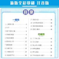 宇轩看图写话二年级新概念小学生看图说话写话范文训练本二年级人教版上下册通用红枣版小学2年级语文作文书练习本专项训练天天练