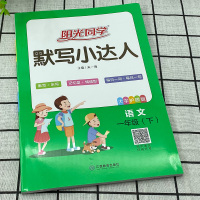 2021春 阳光同学默写小达人 语文一年级下册人教部编版 小学语文1年级作业本生字生词听写默写练习册词语积累天天练检测题