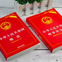 2021中华人民共和国刑法+刑事诉讼法 刑法修正案十一 刑法典2021年版最新版刑事诉讼法实用版刑诉法法律法规法条条文