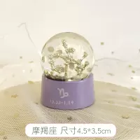 十二星座梦幻玻璃球水晶球摆件迷你小号透明圆球女生生日礼物儿童 摩羯座