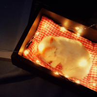 仿真猫咪玩偶生日礼物送女生男朋友会叫的小猫创意摆件毛绒玩具 白猫+手账本 文艺礼盒装+串灯