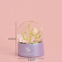 梦幻十二星座水晶球迷你树脂小摆件少女心生日结婚礼物家居装饰品 摩羯座