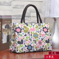 新款韩版双拉链手提包外出帆布包牛津女士小包休闲便携条纹女包包 小翠花