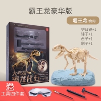 恐龙化石考古挖掘玩具霸王龙骨架模型儿童手工diy制作挖宝石宝藏 霸王龙豪华版【送挖掘4件套】