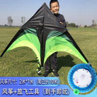 潍坊大草原风筝儿童微风易飞大型2021年新款高档大人专用风筝线轮 2米绿色大草原10米尾+1000米线轮