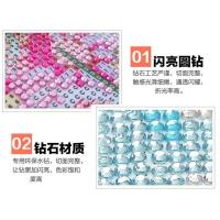 diy亮钻水晶圆钻版可爱卡通布丁狗库洛米美乐蒂双子星钻石画 ①双子星水晶圆钻满钻38X38CM