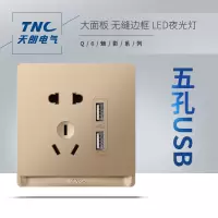 TNC 86型开关插座 经典款 双USB五孔
