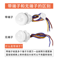 红外线人体感应器开关模块控制12v光电明装远程220v近距离延时器 七合一多用老虎钳