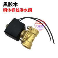 淋水电磁控制阀24V淋水器配件重汽货车滴水刹车开关淋水阀电磁式 纯铜（铜座铜线）黑胶木
