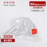 脚踏开关带线插头脚踩式灯具配件落地灯电源线家用脚踩开关脚踏线 国标透明5米