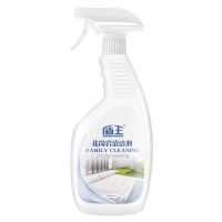 盾王花岗岩清洗剂除锈大理石材清洁剂强力去污地面铁锈去黄斑神器