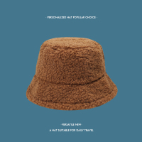 羊羔毛绒日系渔夫帽子女秋冬韩版百搭复古软妹学生保暖泰迪绒盆帽 焦糖色 均码(54-58cm)