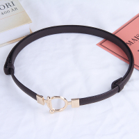 皮带女士百搭时尚装饰大衣配裙子西装连衣裙收腰细腰带配毛衣 A112咖啡色