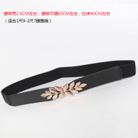 欧美简约百搭毛衣连衣裙毛呢大衣宽弹力腰封松紧腰带女士时尚装饰 2.5松紧橄榄枝款黑色