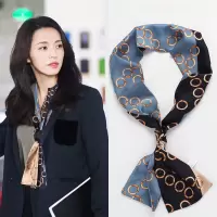 苏明玉姚晨同款丝巾女百搭春秋年轻人洋气长条装饰小领巾气质方巾 大姚同款珠环扣蓝色
