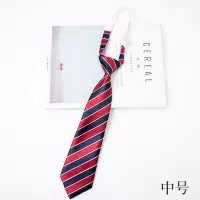 学院风 学生领带校服领花领结 小学初中小孩男女儿童表演蝴蝶结 FD001(中号领带)