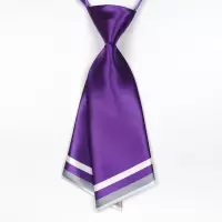 韩版职业正装领结银行工作女士蝴蝶结领花商务英伦制服短款小领带 A1308紫色
