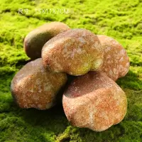 庭院装饰摆件场景布置创意道具石头青苔溪边装饰房间饰品布置摆设 大号石头5个装-红