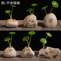 禅意茶桌陶瓷摆件茶宠仿石头装饰品茶台办公室桌面小摆设水培花器 小号-6个小花器
