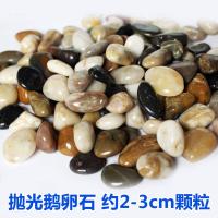 水泥鱼缸造景七彩鱼缸小石头子摆件彩石装饰品布景造景鹅卵石石鱼 鹅卵石 2-3cm[5斤装]