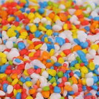 花盆里的小装饰摆件养种兰花专用透气石铺面的石子石头粒透气 5斤黑石0.3-0.5cm