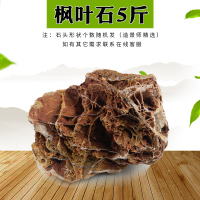 青龙石 鱼缸 装饰 假山石 石头 造景石 水族箱迷你辅石小石头 枫叶石5斤