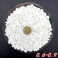 鹅卵石天然小石头雨花石白色小石子白石子花盆盆栽多肉装饰铺面鱼 白色0.6-0.9cm[5斤]
