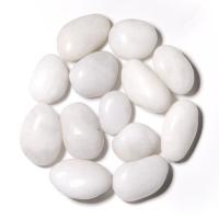 天然纯黑白色白玉鹅卵石石头雨花石鹅软石鹅暖石鱼缸装饰石头 白玉鹅卵石4-6厘米1斤约4个