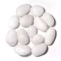 天然纯黑白色白玉鹅卵石石头雨花石鹅软石鹅暖石鱼缸装饰石头 白玉鹅卵石4-6厘米1斤约4个