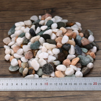多肉铺面石天然雨花石鹅卵石花盆栽五彩色石子鱼缸装饰白色小石头 5斤花石1.5~2.5cm