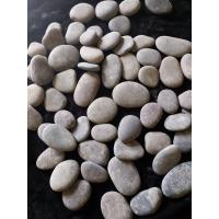 小白石子雨花石鹅卵石多肉盆栽铺面园林庭院铺路鱼缸铺底白色石头 扁平灰色鹅卵石3-5厘米5斤