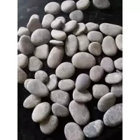 小白石子雨花石鹅卵石多肉盆栽铺面园林庭院铺路鱼缸铺底白色石头 扁平灰色鹅卵石3-5厘米5斤