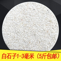 雨花白石子鹅卵石天然白色小石头铺路室内园艺装饰造景底砂白玉石 白色小石子1-3毫米(5斤)