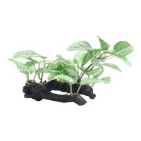 酷爬乌龟缸鱼缸造景仿真水草植物水族箱全套装饰草假山小摆件 仿真沉木草